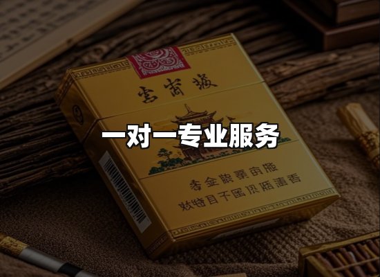 专业优势